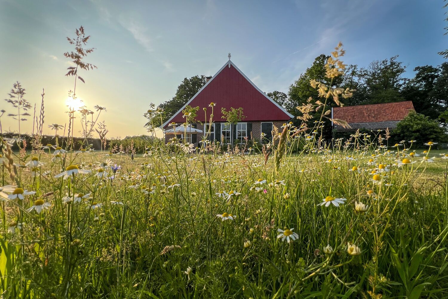 Slaapkamer bij de coachlocatie van Vrijzicht Coaching
