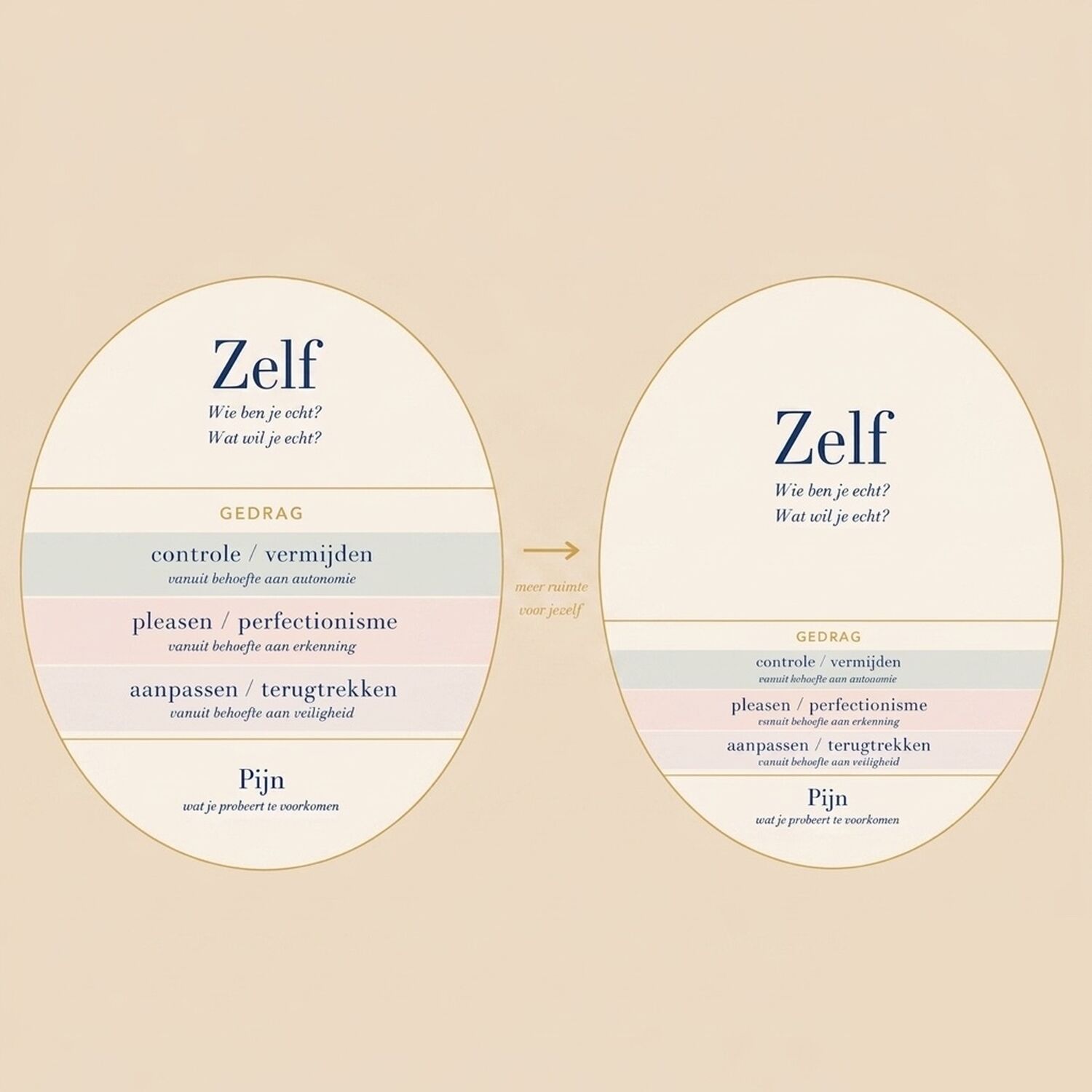 Het Zelfruimte-model van Vrijzicht Coaching